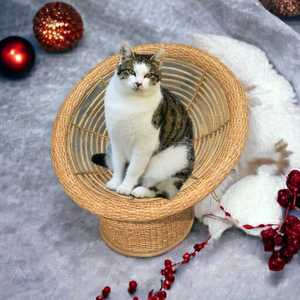 Best Price Handmade Eco-Friendly Bamboo Cane Wicker Comfortable <b>Dog</b> Basket <b>Bed</b> Handmade Puppy <b>Bed</b> Woven <b>Dog</b> <b>Bed</b> - Product Image 5