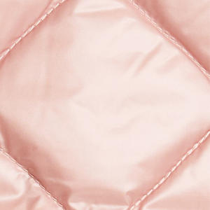 2024 vestes à bulles brillantes chaudes les plus vendues vestes à bulles d'hiver pour femmes vestes solides personnalisées pour femmes - Product Image 6