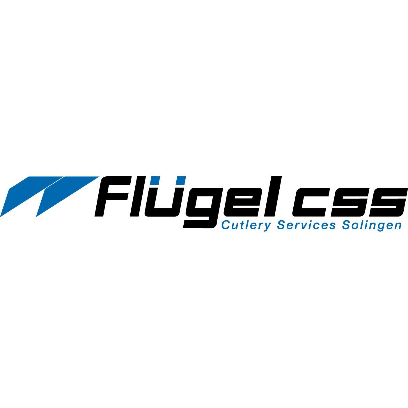 Flügel CSS GMBH & CO KG logo