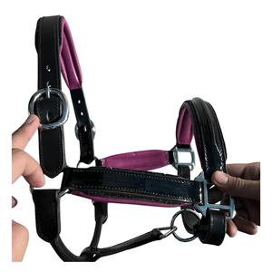 ADIBA OVERSEAS - Cabestro para Caballo de Cuero Patentado con Brillo, Calidad Europea y Estadounidense, Súper Lujoso, Acolchado, con Pedrería y Herrajes de Latón Macizo - Product Image 3