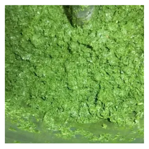 Hoja de mandioca congelada, precio al por mayor, Vietnam congeladas de hojas de mandioca, ingredientes de cocina convenientes - Product Image 2