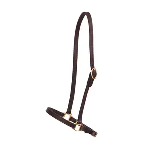 3/4 "grooming halter. Pirinç kaplama donanım. Çift dikişli. Sadece atta mevcut.