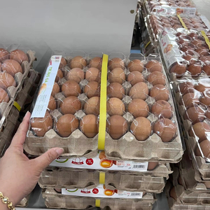ฝาปิดไข่พลาสติก30เซลล์ใช้สำหรับอุตสาหกรรมเก็บอาหาร - Product Image 1