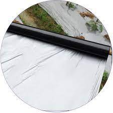 Tiêu chuẩn chất lượng nông nghiệp films <span class=keywords><strong>mulch</strong></span> sử dụng để sửa đổi nhiệt độ đất từ Ấn Độ Nhà cung cấp của nhựa <span class=keywords><strong>mulch</strong></span> phim cho xuất khẩu - Product Image 3