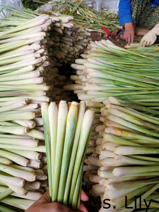 สมุนไพรตะไคร้สดสำหรับการส่งออก | ส่วนผสมแต่งกลิ่นธรรมชาติสำหรับผู้ซื้อทั่วโลก | ดอกลิลลี่ - Product Image 5