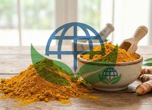 Cúrcuma Orgánica en Polvo 100% Pura, Alto Contenido de Curcumina, Seca, Grado Alimenticio Crudo Certificado HP Valia, Proveedor a Granel de la India para Cocina - Product Image 6