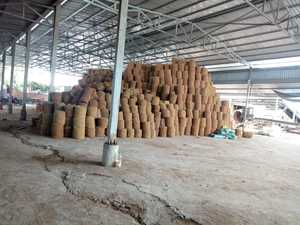 Coconut Coir Ropes for Export Brown Coco Fiber Natural Coir Rope for Agricultural - Product Image 2