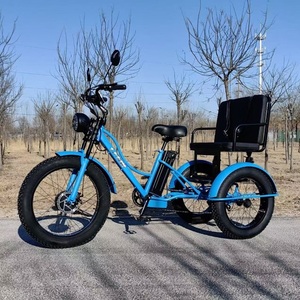 Vélo électrique à 3 roues le plus vendu, siège large avec moteur avant, tricycle électrique avec siège passager - Product Image 2