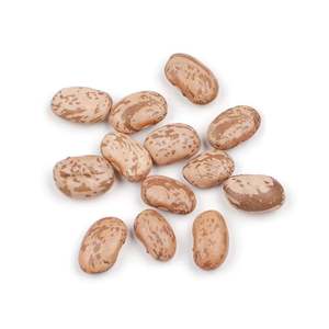 Organic Pinto <b>Beans</b> offered for health food and natural product markets - Product Image 1
