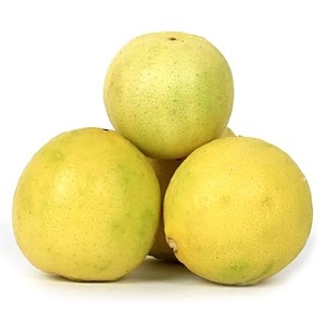 Frutos de Coco Orgánico Congelado HP Valia de Buena Calidad, 100% Congelado, para Bebidas, Uso Culinario y Aplicaciones Saludables, 100 kg - Product Image 1