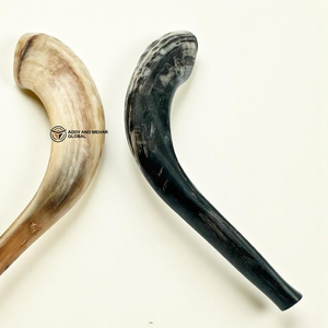 Corne de Shofar de bélier naturel fabriquée à la main Accent décoratif de corne d'animal authentique pour la maison et le décor spirituel - Product Image 3