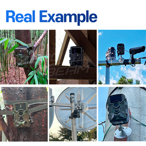 Zerobeam T9 Không Dây Trail Máy Ảnh <span class=keywords><strong>IP66</strong></span> Không Thấm Nước 8MP 32M Phát Hiện Chuyển Động Xách Tay Cho Trang Trại Crop Khu Vực Ghi Âm Và Giám Sát - Product Image 4