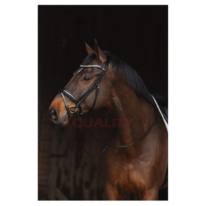 Bridon et licol pour cheval, conçus dans le style classique de la selle anglaise, pour les professionnels et les compétitions, cuir de qualité supérieure - Product Image 3