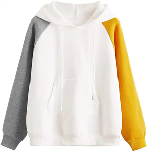 Haute Qualité Coloré 100% Coton Hoodies Logo Personnalisé Uni Épais Poids Lourd Surdimensionné Hoodies Pull Blank Hoodies - Product Image 5