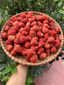 Fresas liofilizadas Premium de Vietnam, bayas enteras de alta calidad, sabor dulce Natural para exportación, suministro mundial - Product Image 3