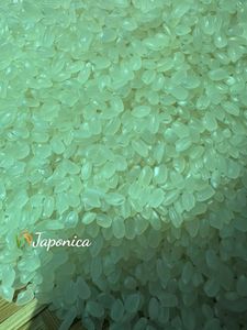 Riz japonica de qualité sushi - Qualité japonaise, grain court collant pour sushi - Product Image 4