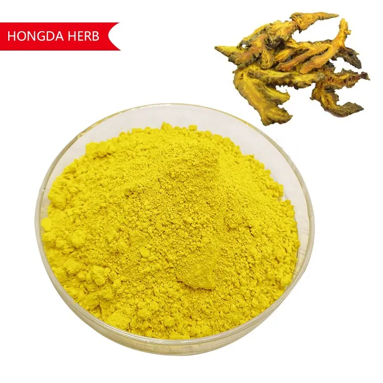 Hongda Factory Supply Berberine 98% Berberin Berberine Extract