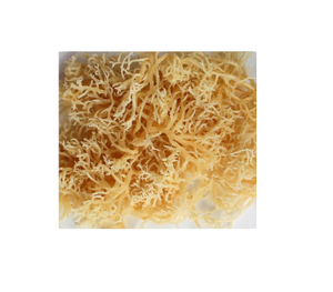 ต้นมอสทะเลแห้งจากต้นมอส - Product Image 1