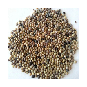 Graines de guar disponibles en vrac pour l'exportation vers les marchés industriels et alimentaires - Product Image 5