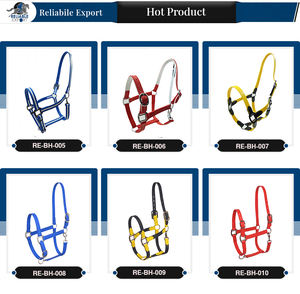 Licou cheval en PVC de bonne qualité, équipement équitation étanche, licou cheval disponible au prix de gros - Product Image 6