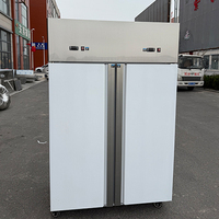 Congélateur vertical à double porte commercial, à double température, à refroidissement par air, en acier inoxydable, pour supermarché, cuisine