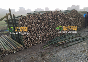 Brosse de nettoyage écologique en bambou pour la cuisine, style coréen, chromée, antiadhésive, manche en bois, haute qualité - Product Image 3