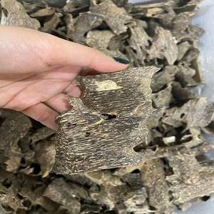 High Quality <b>Agarwood</b>: Nature Aromatic Wonder - Product Image 6
