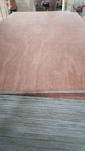 Tablero de Madera Contrachapada Comercial Fomex, Núcleo de Lápiz de Eucalipto y Acacia, Chapa de Bintangor, Okume y Sapely - Product Image 6