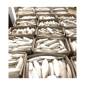 Os de seiche coupés et séchés avec fonction propre et sèche pour l'alimentation des animaux, fournissant des os de seiche séchés au Vietnam - Product Image 3