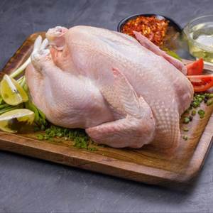 Meilleures ventes : Poulet entier halal séché et congelé de qualité supérieure, 100 % naturel, non-OGM, caféiné, 25 kg, en gros, usine Belgique - Product Image 4