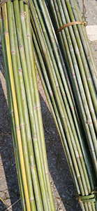Productos agrícolas vietnamitas ecológicos de bambú para arquitectura de paisaje natural al aire libre - Product Image 3