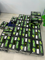 Citrons verts frais sans pépins du Vietnam saveur juteuse et acidulée de qualité supérieure emballés pour l'exportation en gros et au détail