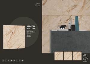 Azulejos de pared de porcelana brillante 1000x1000 | Baldosas de gran formato Premium 100x100 | Colección moderna y elegante de exportación duradera - Product Image 2