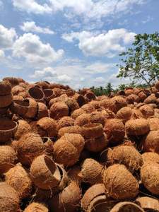 Coquille de noix de coco crue pour la fabrication de charbon de bois Vietnam origine 15% humidité emballage en vrac très bon marché pur expédition rapide déchets agricoles - Product Image 4