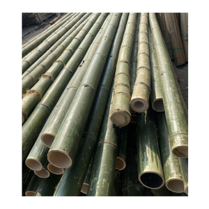 Postes de bambú recién cortados Postes de bambú de larga duración Postes de bambú al por mayor de Vietnam para la exportación - Product Image 2