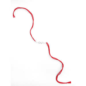 Rakhi Infinito Plateado con Roli Chawal, Joyería Tradicional y Cultural Coleccionable para Hermanos - Product Image 5