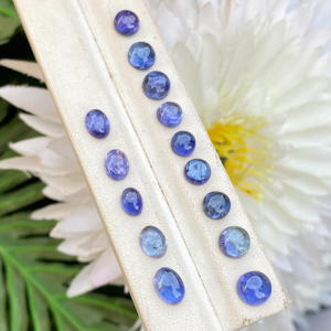 Amazing Natural Bio Color Tanzanite Mix Lot Cabochons Stones With Good Color Lustre Natural Zoisite Loose Gemstone 20.55 Carat - Product Image 1