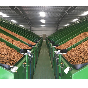 Nueces con cáscara al por mayor, con frutos de nuez extra ligeros, precios - Product Image 1