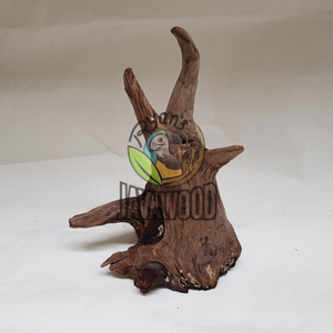 La mejor venta de su acuario y vivero con madera de deriva original con la mejor calidad al mejor precio de Indonesia - Product Image 3