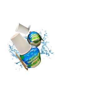 Cadeau de noix de coco vietnamienne fraîche de produit agricole de la nature - Product Image 3