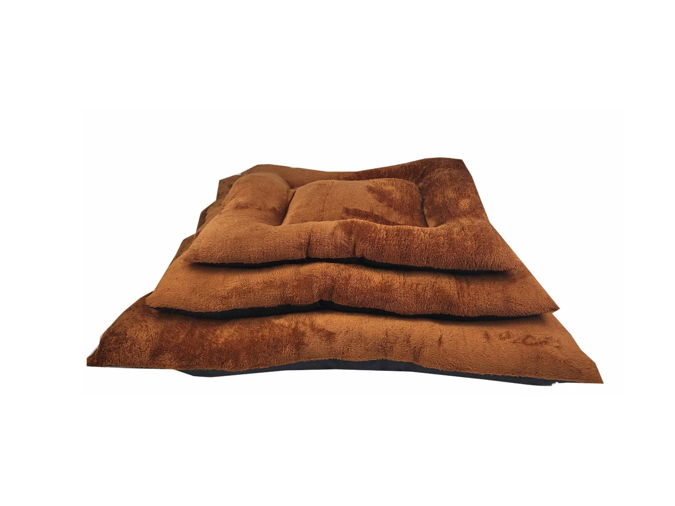 สีน้ำตาล