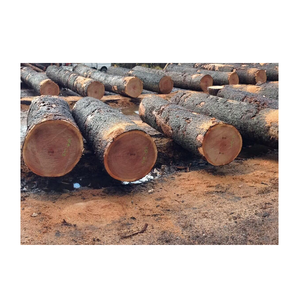 Troncos de madera de cerezo a la venta, perfectos para chimeneas y estufas de leña - Product Image 6