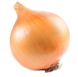 Cheap Wholesale Top Quality Organic Red <b>Onion</b> / <b>Fresh</b> Yellow <b>Onions</b> in Bulk - Product Image 4