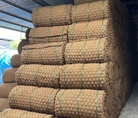 Fibre de coco brute la plus vendue - 100% fibre de coco naturelle, tissu non tissé, prix compétitif par Viet Starlight