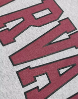 Sweat-shirt de l'université de Harvard sous licence officielle 100% coton bloc arqué col rond coupe ample longue longueur numérique pour l'hiver