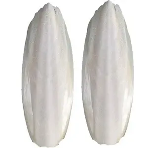 CUTTLEFISH BONE FOR CHINCHILLAS - Helps chinchillas to grind their beaks and provides calcium.