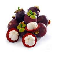 Verse Mangosteen Vietnam Hoge Kwaliteit En Lage Prijs + 84 978495473