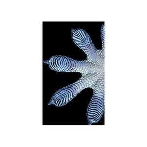 แผ่นยางกันลื่นสำหรับใช้ในบ้าน Gedore - Product Image 2