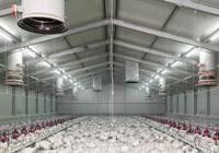 Hangar agricole Bâtiments de grange Entrepôts agricoles préfabriqués Structure métallique Mini remorque Ferme Tour de jardin Ferme Cadre métallique