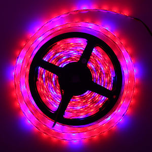 12V SMD5050 Waterproof LED Grow Strip <b>Light</b> 4:1 Red Blue IP65 <b>Plant</b> Grow <b>Light</b> for Vertical Greenhouse Hydroponic Growing - Product Image 6